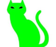 Green Cat Consulting
