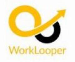WorkLooper consultants