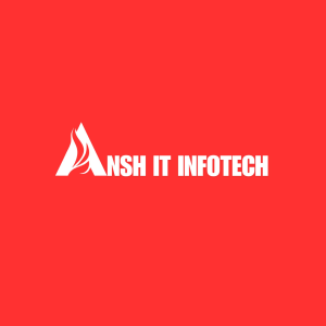 Avatar of anshitinfotech