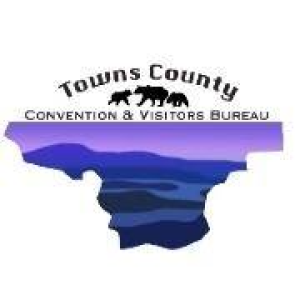 Avatar of townscounty