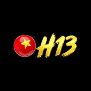 Avatar of h13cam