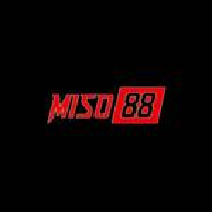 Avatar of miso88ktcom1