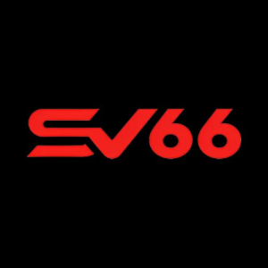 Avatar of sv666acom