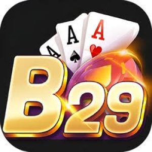 Avatar of B29