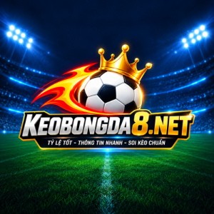 Avatar of keobongda8net