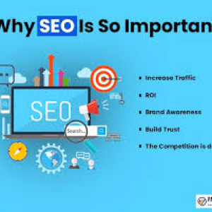 Avatar of seocourses