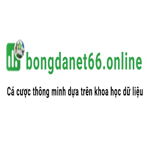 Avatar of BongdaNET 66 Online