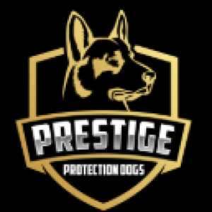 Avatar of prestigeprotectiondogs