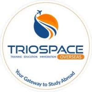 Avatar of triospaceoverseas consultancy