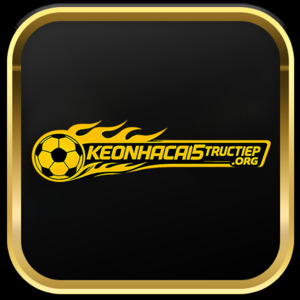Avatar of keonhacai5tructieporg
