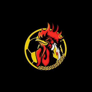 Avatar of gavangtvvcc