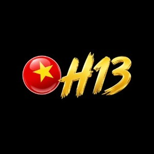 Avatar of h13solutions