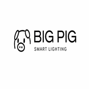 Avatar of bigpigsmartlightining