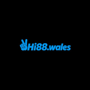 Avatar of hi88wales
