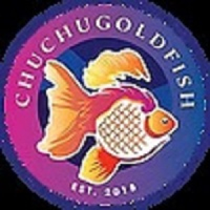Avatar of chuchugoldfish