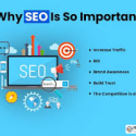 Avatar of seocourses