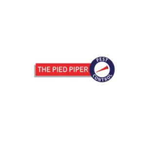 Avatar of thepiedpiper