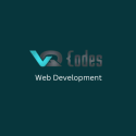 Avatar of vqcodessolutions