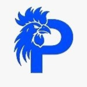 Avatar of paitosingaporeio