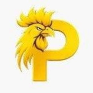 Avatar of Paito SDY