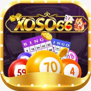 Avatar of xoso66bettop