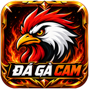 Avatar of dagacamvideo