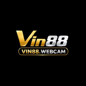 Avatar of vinwebcam