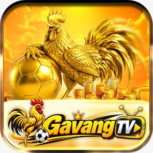 Avatar of Sân Chơi GAVANGTV