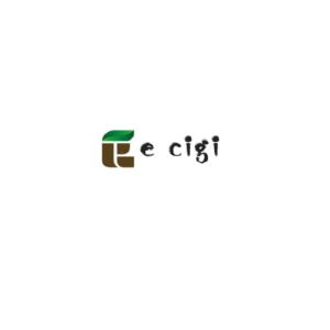 Avatar of ecigiboltcom