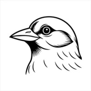 Avatar of milliepatterson