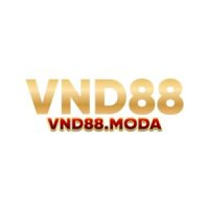 Avatar of vnd88moda