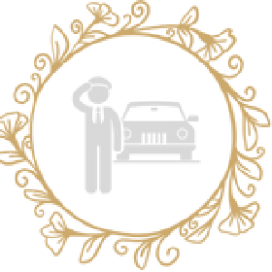 Avatar of texaslimoandcarservice