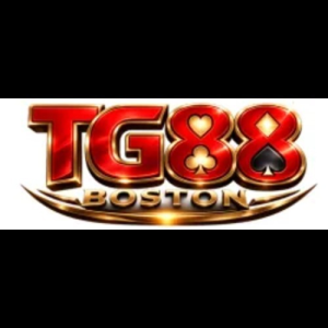 Avatar of tg88boston