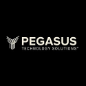 Avatar of pegasustechsolutions