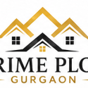 Avatar of primeplotgurgaon