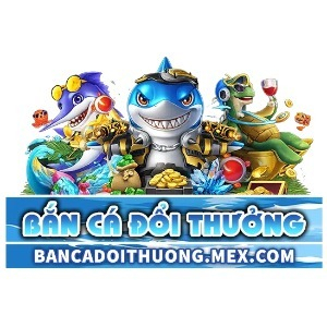 Avatar of bcdtmexcom