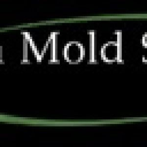 Avatar of michiganmoldservices