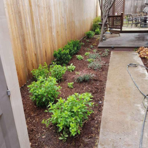 Avatar of tulsagreenscapes