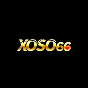 Avatar of xoso666website