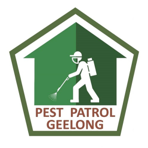 Avatar of pestpatrolgeelong