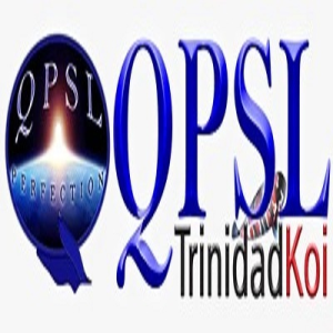 Avatar of qpslltd