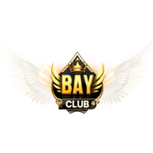 Avatar of bayclubtop1