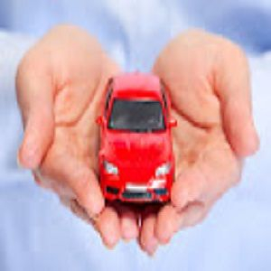 Avatar of cardonateny12