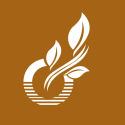 Avatar of organifam