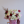 Avatar of flowerphoenixaz