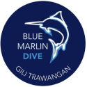 Avatar of padi_idc_gili