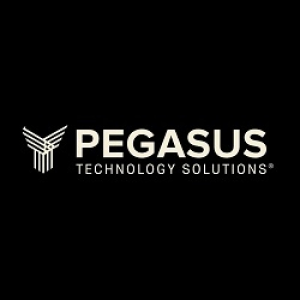 Avatar of pegasustechsolutions