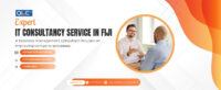 it consultancy service in fiji