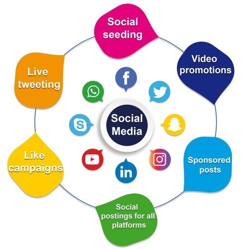 Social Media Marketing Service in Najafgarh