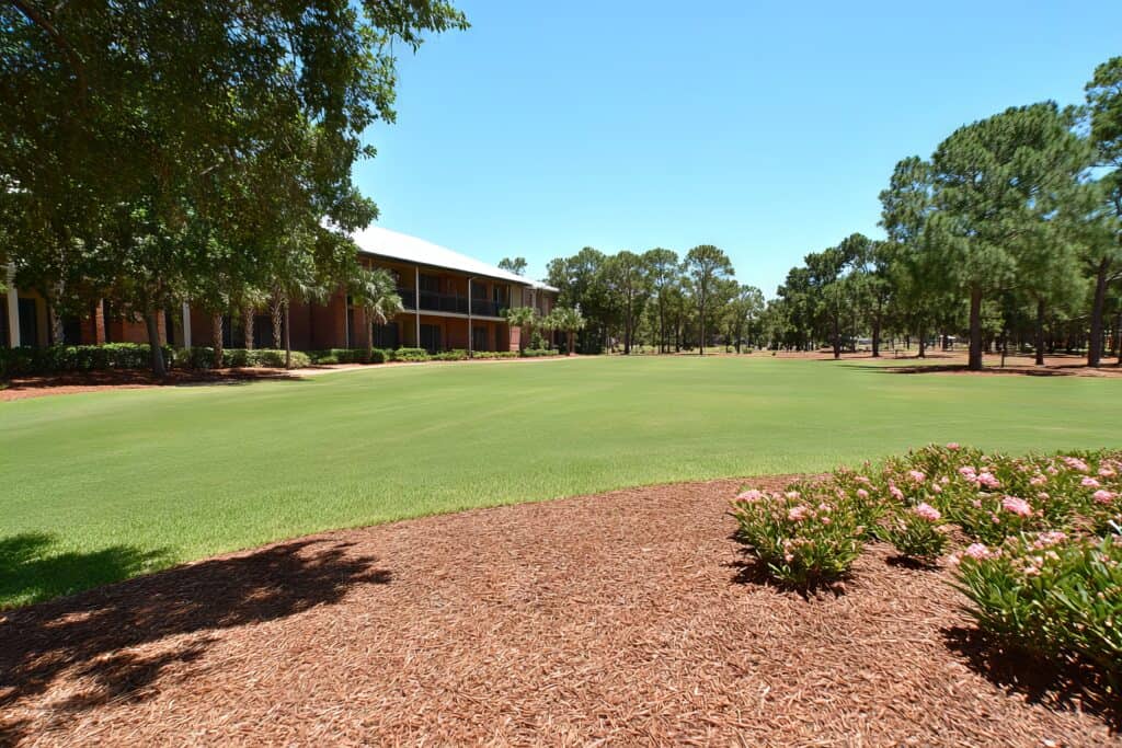 AdobeStock_1320629881-1024x683